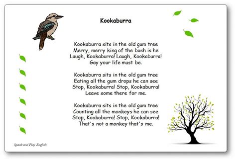 Kookaburra Nursery Rhymes Kids Songs Nursery Rhymes Songs