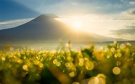 Hd Wallpaper Sunrise Morning First Sun Rays Flowers Meadow With