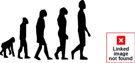 Evolution theory clipart - Clipground