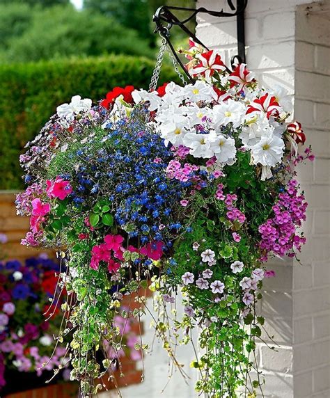20 Lovely Hanging Flower To Beautify Your Small Garden In Summer