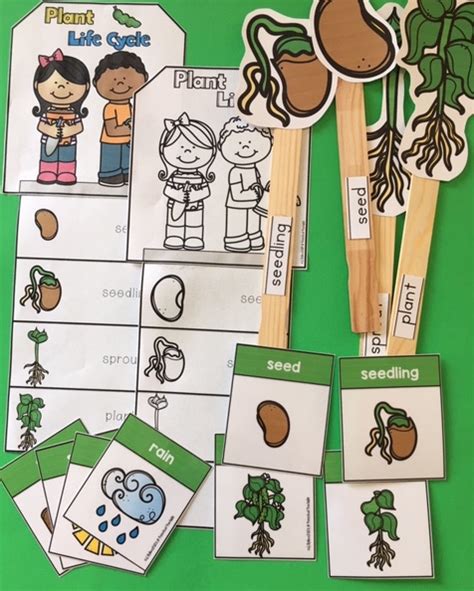 Plant Life Cycle Easy Craft Plus Large Teacher Puppet Sticks