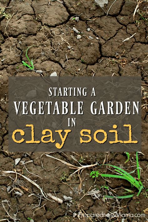 How To Improve Drainage In Clay Soil Garden How To Improve Your