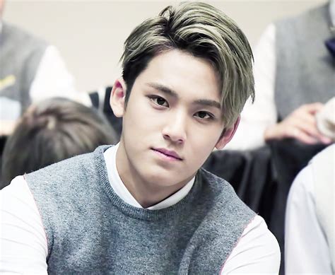 The best gifs for seventeen mingyu. Seventeen profile - Tiny Kpop Idol Profile