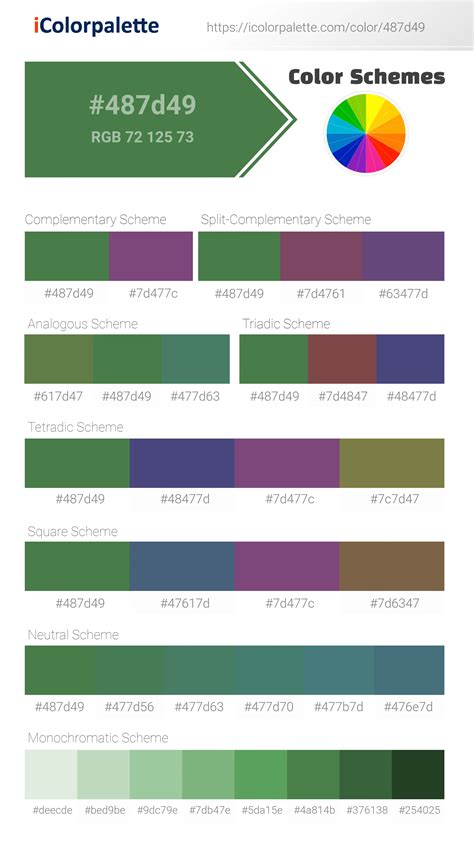 Pantone 17 6333 Tcx Mint Green Color Hex Color Code 487d49