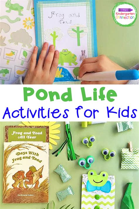 Pond Life Activities For Kids The Kindergarten Connection