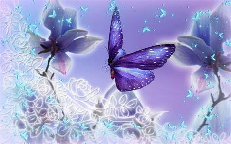 Pretty Butterfly Wallpaper ·① Wallpapertag