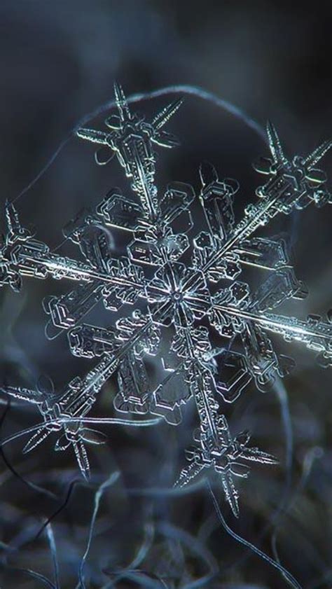 Snowflake Up Close With Images Amazing Macro Photography Macro