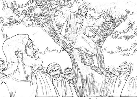 Tree Zacchaeus Coloring Picture Real