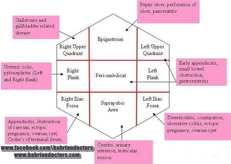The four quadrants are the four different types of romance recognized by trolls, first explained through exposition here. Abdomen Quadrants ~ Bahrian Doctors