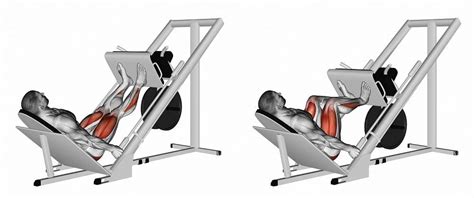 5 Best Leg Press Alternatives At Home With Pictures Inspire Us