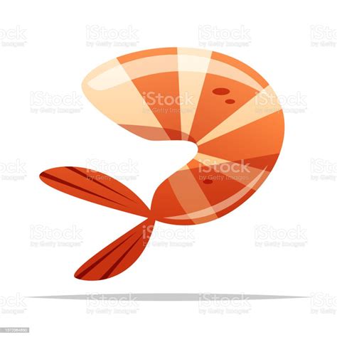 Seafood Cooked Shrimp Vector Isolated Illustration Stock Illustration