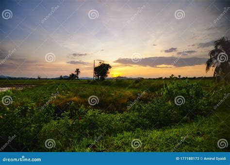 Beautiful Landscape View In Traditional Paddy Field Over Sunrise