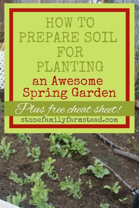 How To Prepare Soil For Planting An Awesome Garden Container