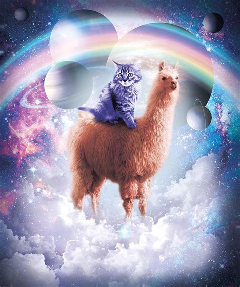 Rainbow Llama Cat Llama Digital Art By Random Galaxy Pixels