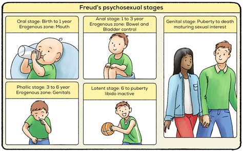 Freuds Psychosexual Stages Of Development Definition And Examples