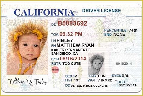 State Drivers License Templates