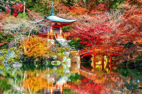 Download Lake Fall Park Bridge Nature Kyoto Japan Religious Daigo Ji 4k