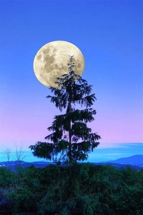 Random Radness 767 Wunderschöner Mond Landschaftsbilder Schöne Natur
