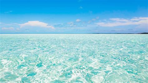 6 Reasons Why You Need To Visit Exuma Bahamas