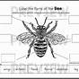 Life Cycle Of A Bee Printable