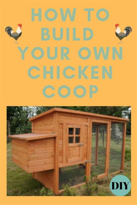 How To Build A Chicken Coop — Types Of Chicken Building A Chicken