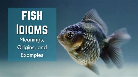 Fish Idioms Idioms And Phrases Fish Phrases Origins History