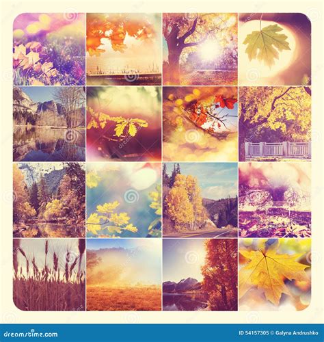 Autumn Collage Stock Image Image Of Collage Foliage 54157305