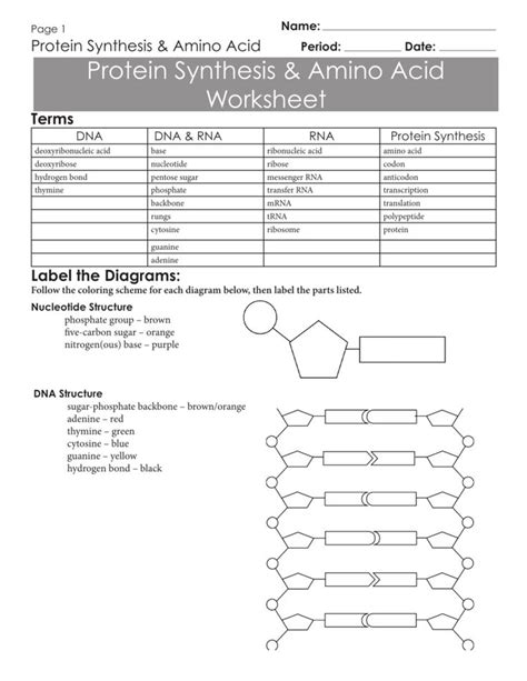 Dna coloring transcription translation dna coloring transc and transl dna and protein worksheet with answers color code ach dna coloring transcription and translation answer key whats people lookup in this blog. Résultat de recherche d'images pour "dna worksheet" (With images) | Protein synthesis, Ap ...