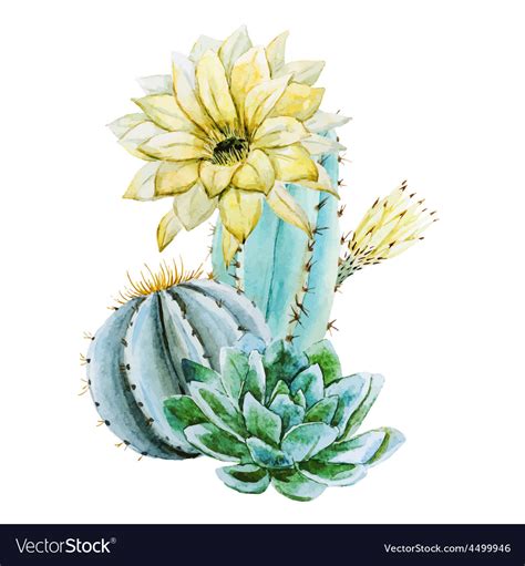 Download Watercolor cactus Royalty Free Vector Image - VectorStock