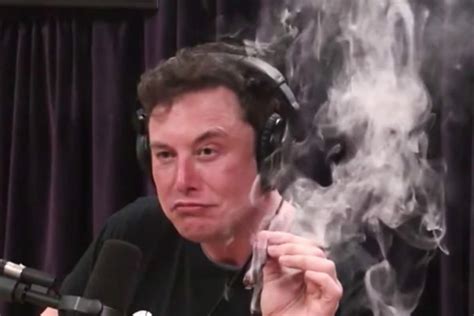 He was bullied as a child but ultimately attended an ivy league university before going on to become the ceo of two companies, tesla and spacex. Elon Musk Was Caught on Camera Smoking Marijuana ...