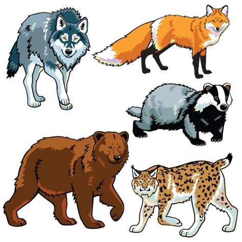 Free Carnivores Animals Cliparts Download Free Carnivores Animals