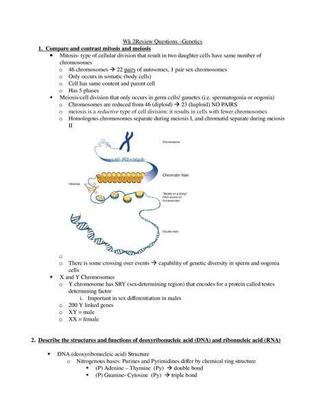 The chemistry of the nitrogenous bases is really the key to the function of dna. Which Pair Of Nitrogenous Bases Will Form A Bond In A Dna ...
