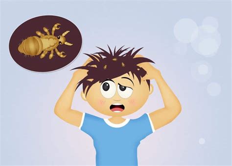 Can Schools Do without the 'No Nit' Policy? - Lice Busters USA