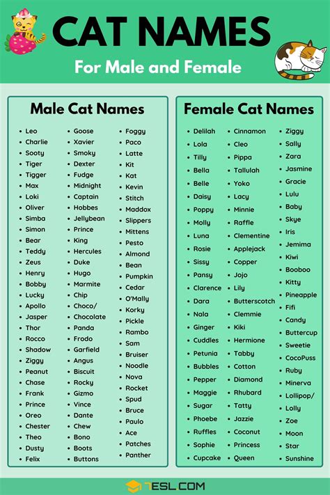 Cat Names 70 Most Popular Male And Female Cat Names 7esl Cat
