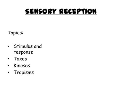 Sensory Reception A2 Aqa Bilology