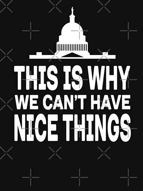 This Is Why We Cant Have Nice Things T Shirt For Sale By