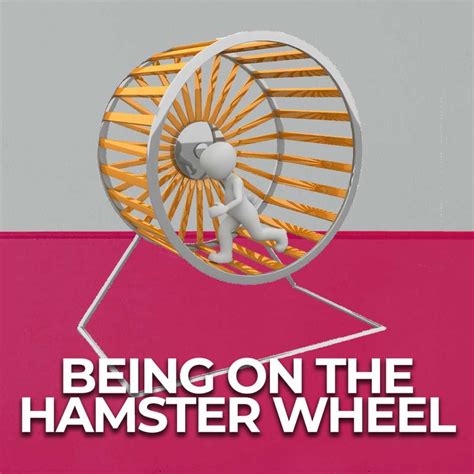 Being On The Hamster Wheel Get Yourself Out Of A Rut Tamra Oviatt