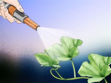 Check spelling or type a new query. 3 Ways to Adjust Soil pH - wikiHow