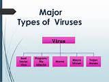 Images of Types Of Different Computer Virus