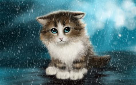 Cute Innocent Cat In The Rain Art Drawings Wallpaper 2560x1600