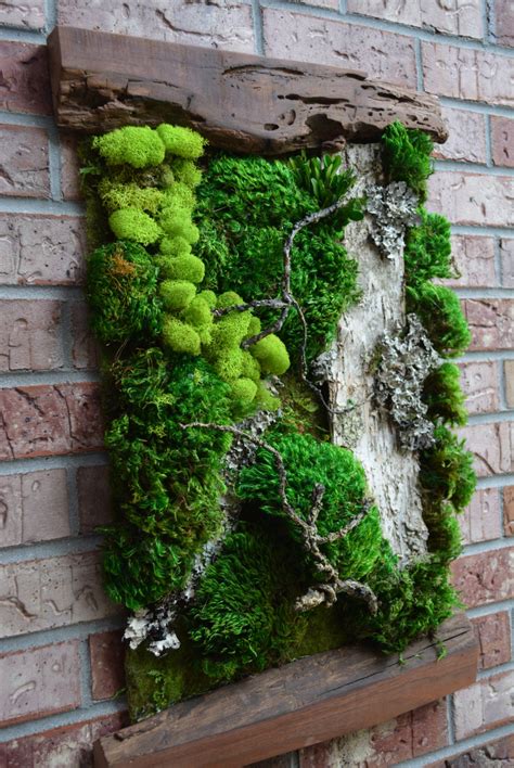 Living Moss Wall Etsy