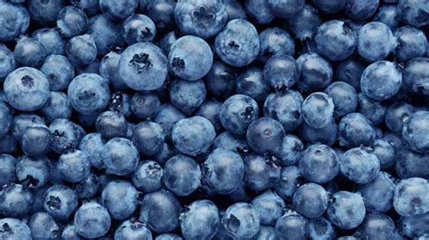 Blueberries 101 Nutrition Facts And Health Benefits
