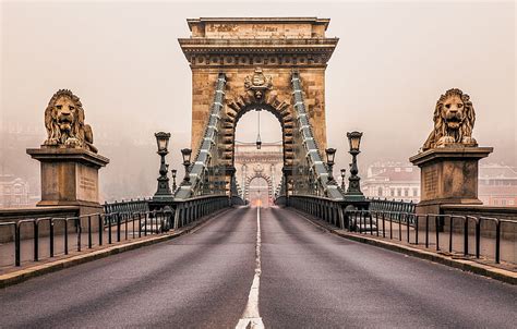 Hd Wallpaper Chain Bridge Budapest Lion Statue City Architecture