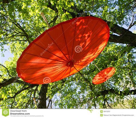 Find deals on products in outdoor decor on amazon. Two Red Umbrellas In Tree Royalty Free Stock Photography ...