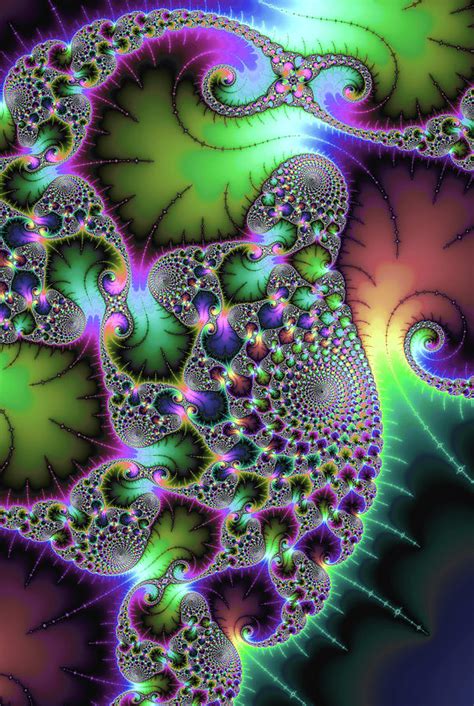 Fractal Spirals And Leaves With Jewel Colors Digital Art By Matthias