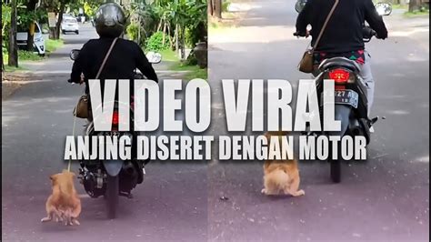 Viral Video Pemotor Seret Anjing Hingga Kaki Berdarah Auto Dihujat