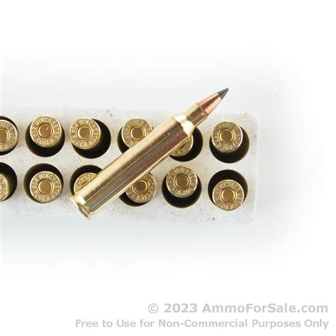 20 Rounds Of Discount 32gr Polymer Tip 204 Ruger Ammo For Sale By