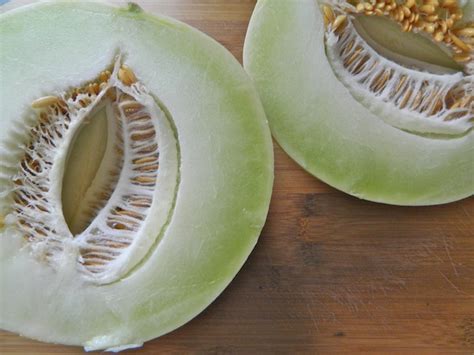 14 Vagina Shaped Foods To Feed Your Appetite