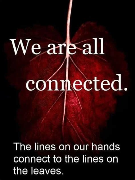 We Are All Connected 🍂 Wise Words Life Quotes Words