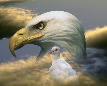 Strength With Compassion Spiritual Pictures Dove Images Eagle